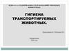 Гигиена транспортируемых животных