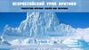 Экосистема Арктики: спасём или потеряем