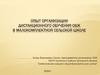 Опыт организации дистанционного обучения ОБЖ в малокомплектной сельской школе