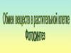 Обмен веществ в растительной клетке