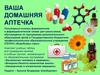 Ваша домашняя аптечка