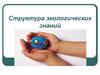 Структура экологических знаний
