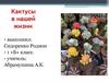 Кактусы в нашей жизни