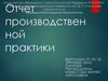 Отчет производственной практики. Горный институт