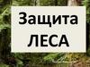 Защита леса
