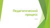 Педагогический процесс