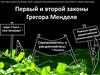 Первый и второй законы Грегора Менделя