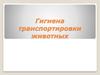 Гигиена транспортировки животных