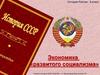 Экономика «развитого социализма»