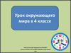 Московское время. Урок окружающего мира в 4 классе