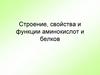 Строение, свойства и функции аминокислот и белков