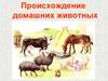 Одомашнивание  животных