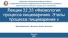 Этапы процесса пищеварения. Лекция 32, 33