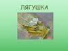 Лягушка