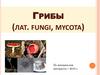 Грибы (fungi, mycota)