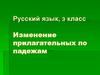 Изменение прилагательных по падежам