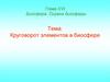 Круговорот элементов в биосфере
