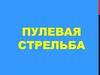 Пулевая стрельба