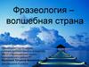 Фразеология. Фразеологические синонимы и антонимы