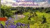 Они живут рядом. Растительный и животный мир Владимирской области