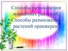 Способы размножения комнатных растений. Способы размножения растений оранжереи