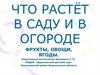 Что растёт в саду и огороде