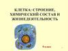 Клетка: строение, химический состав и жизнедеятельность