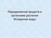 Передвижение веществ в организме растения. Испарение воды