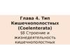Тип Кишечнополостных (Coelenterata).  Строение и жизнедеятельность кишечнополостных