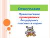 Орфография. Правописание проверяемых безударных гласных в корне