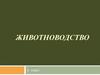 Животноводство