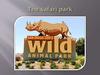 The safari park