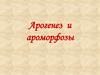 Арогенез и ароморфозы