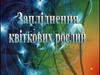 Запліднення квіткових рослин