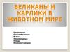 Великаны и карлики в животном мире. Насекомые: Паукообразные, Рыбы, Земноводные, Птицы, Млекопитающие