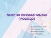 Развитие познавательных процессов