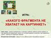 Игра: «Какого фрагмента не хватает на картинке?»
