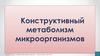 Конструктивный метаболизм микроорганизмов
