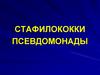 Стафилококки. Псевдомонады