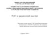 Алтайский транспортный техникум. Отчёт по преддипломной практике