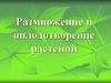 Размножение и оплодотворение растений