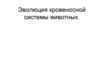 Эволюция кровеносной системы животных