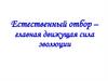 Естественный отбор – главная движущая сила эволюции