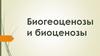Биогеоценозы и биоценозы