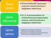 Разнообразие живых организмов. Отличительные признаки членистоногих и хордовых животных
