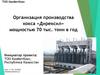 Организация производства кокса «Дирексил» мощностью 70 тыс. тонн в год