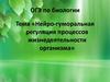 Нейро-гуморальная регуляция процессов жизнедеятельности организма