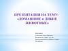 Домашние и дикие животные