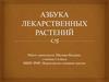 Лекарственные растения