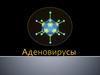 Аденовирусы. Определение и характеристика